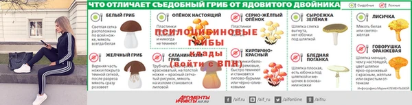 spice Новозыбков