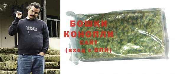 spice Новозыбков