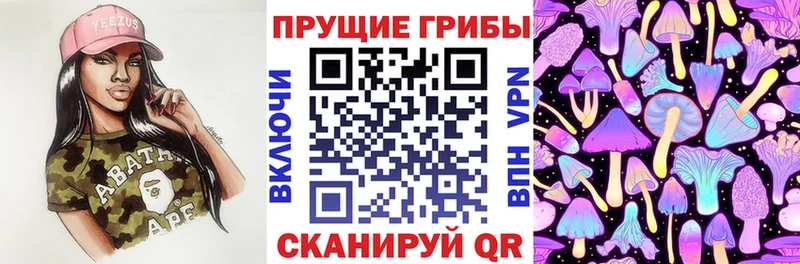 omg онион  Мурино  Псилоцибиновые грибы Cubensis  купить  