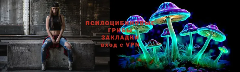 где купить наркоту  Мурино  Псилоцибиновые грибы MAGIC MUSHROOMS 