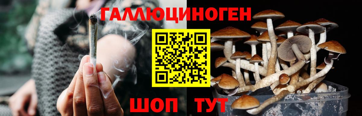 Мурино  хочу   Вход с VPN  Псилоцибиновые грибы Magic Shrooms 