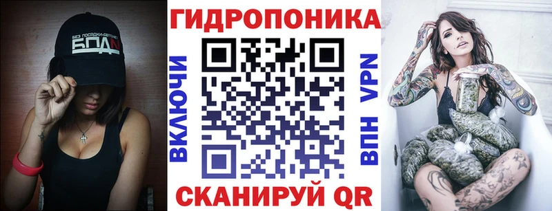 Бошки марихуана MAZAR  где купить наркоту  Мурино 